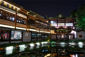 上海的年轻一代与未来展望